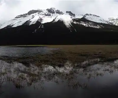 Sentier de randonnée Pinto Lake - paysage naturel