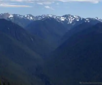 Discover Hurricane Ridge in Olympic Peninsula