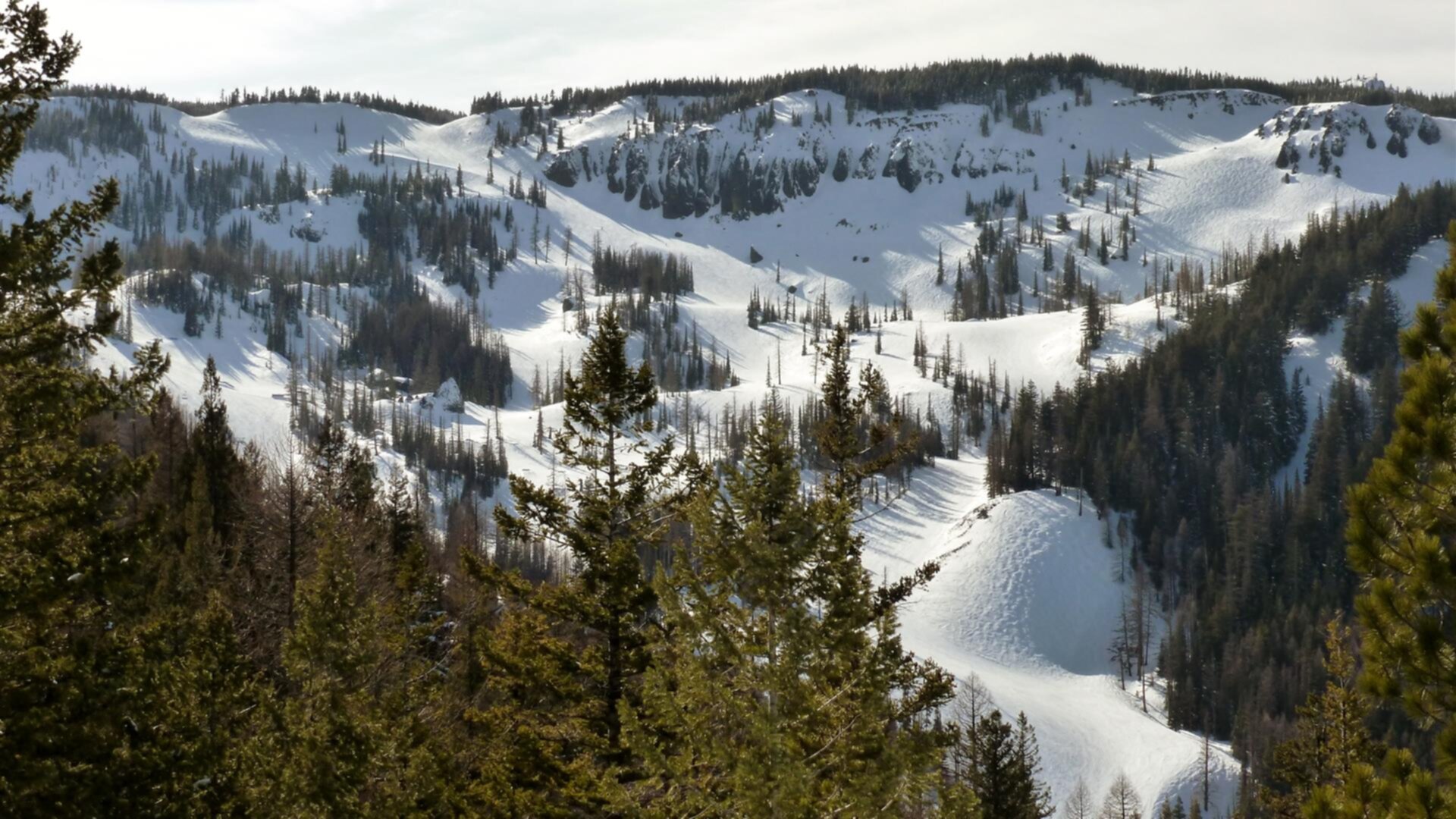 Mission Ridge Park Hiking Trails | Vancouver Coast Mountains