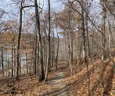 Sentier de randonnée Finger Lakes Trail - paysage naturel