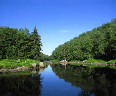 Sentier de randonnée Brewer Lake - paysage naturel