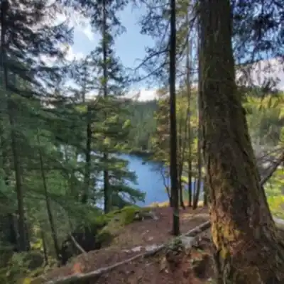 Brohm Lake hiking trail - natural landscape