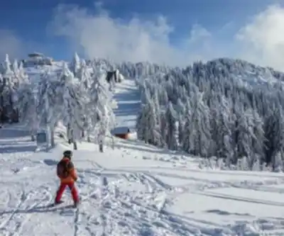 Discover Castle Mountain Resort in Southern Rockies