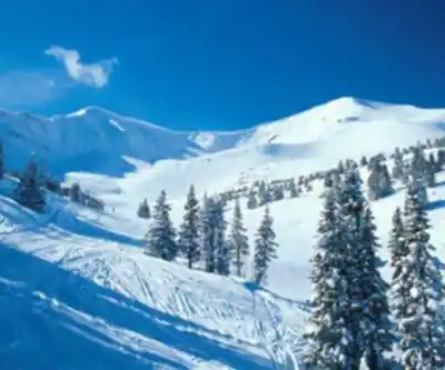 Marmot Basin hiking trail - natural landscape