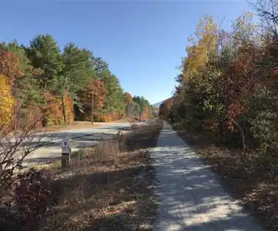 Danbury Bog hiking trail - natural landscape