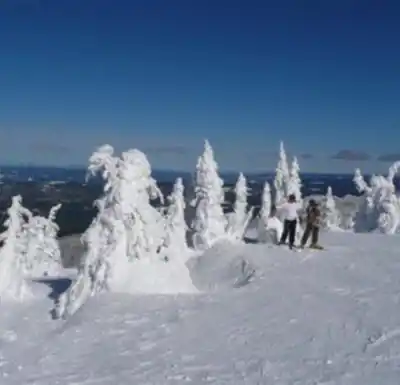 Big White Ski Resort hiking trail - natural landscape