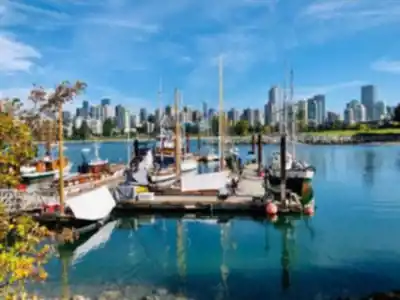 Discover False Creek in Vancouver Coast Mountains