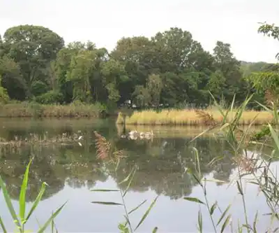 Sunken Meadow State Park hiking trail - natural landscape