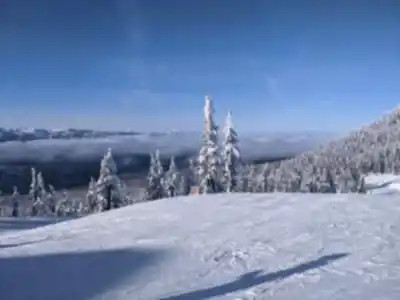Explorer le sentier Mount Washington Alpine Resort