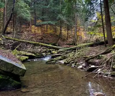 Sentier de randonnée Bridal Falls - paysage naturel