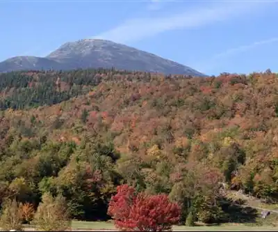 Sentier de randonnée Wildcat Mountain - paysage naturel