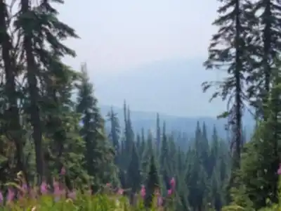 Discover Sun Peaks Resort in Thompson Okanagan