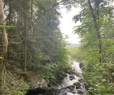 Cedar River hiking trail - natural landscape