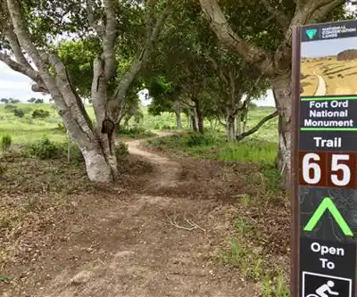 Fort Ord hiking trail - natural landscape