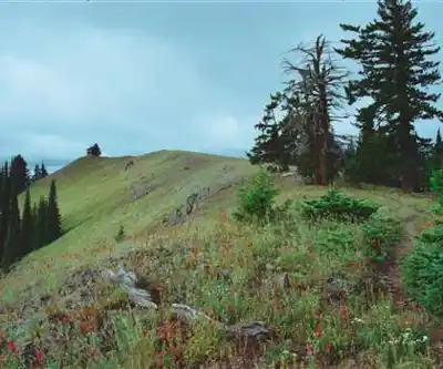 Hiking view of Oregon Butte Trail
