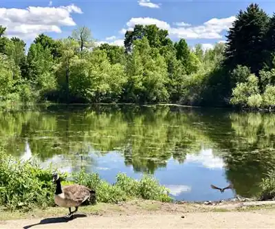 Etobicoke Creek Trail hiking trail - natural landscape