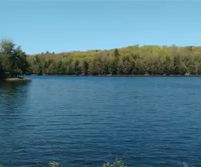 Sentier de randonnée The Massasauga - paysage naturel