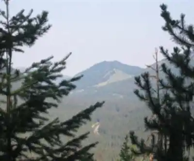 Manning Park hiking trail - natural landscape