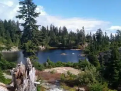 Explore Mount Seymour trail