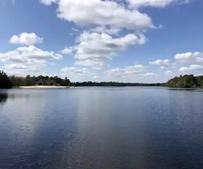 Atsion Lake hiking trail - natural landscape