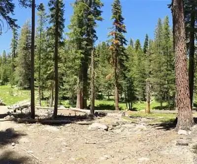 Tahoe Rim Trail hiking trail - natural landscape