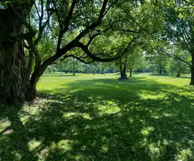Como Lake Park hiking trail - natural landscape