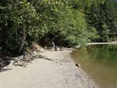 Hicks Lake hike - nature and outdoors