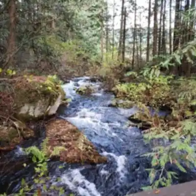Hiking view of Hicks Lake