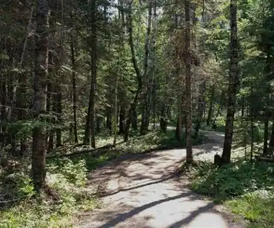 Sentier de randonnée Falcon Trails Resort - paysage naturel