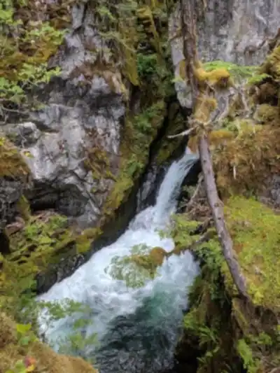 High Falls Creek (Trailhead) scenery - hiking