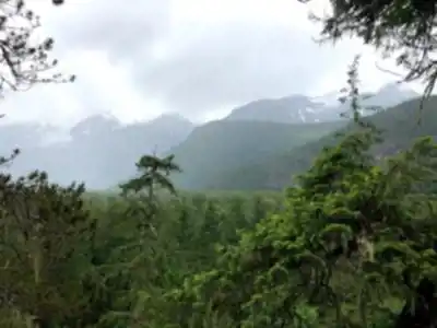 Discover High Falls Creek (Trailhead) in Vancouver Coast Mountains