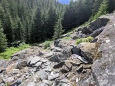 High Falls Creek (Trailhead) hike - nature and outdoors
