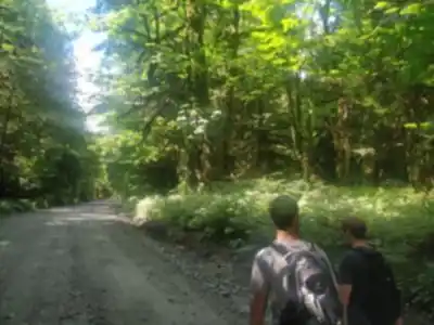 Explore High Falls Creek (Trailhead) trail