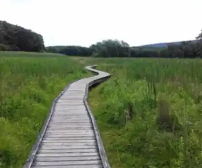 Appalachian Trail in New York State hiking trail - natural landscape