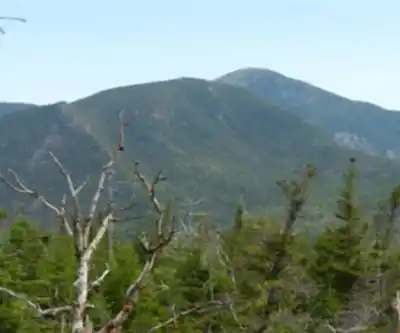 Allen Mountain hiking trail - natural landscape