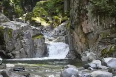 Randonnée Cascade Falls Regional Park - nature et plein air