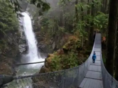 Vue en randonnée de Cascade Falls Regional Park