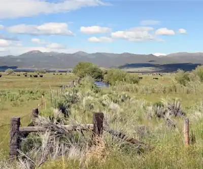 California Hot Springs hiking trail - natural landscape