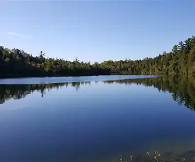 Crawford Lake Conservation Area (Reservations Required) hiking trail - natural landscape