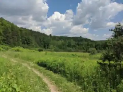 Vue en randonnée de Hockley Valley