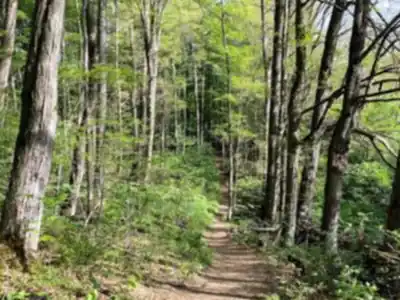 Paysage de Hockley Valley - randonnée pédestre