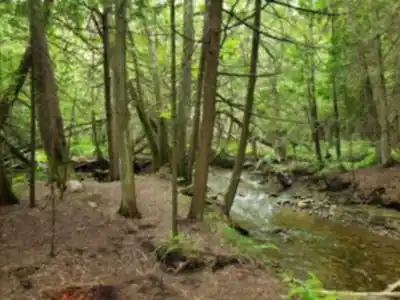 Explorer le sentier Hockley Valley