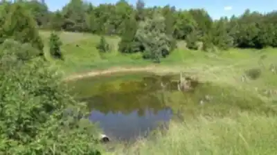 Randonnée Hockley Valley - nature et plein air