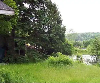 Sentier de randonnée Lake Umbagog - paysage naturel