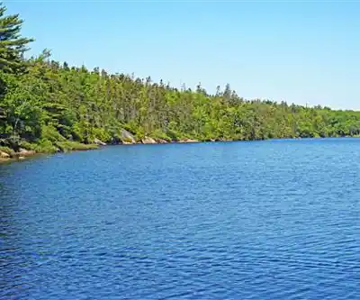 Sentier de randonnée Williams Lake - paysage naturel