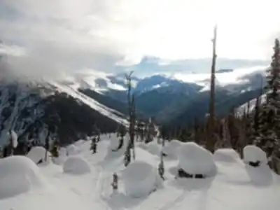 Hiking view of Rogers Pass