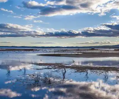 Sebago Lake State Park Campground hiking trail - natural landscape