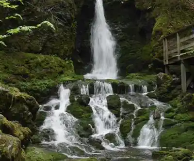 Sentier de randonnée Dickson Falls - paysage naturel