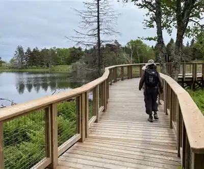 Découvrir Dickson Falls en Côte de Fundy