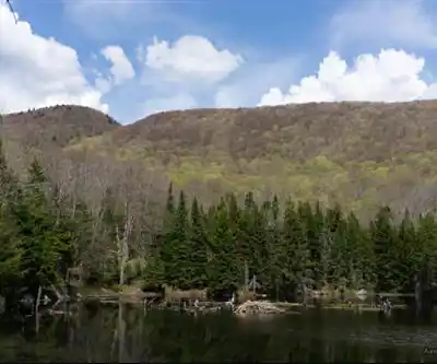 Mont Sutton hike - nature and outdoors